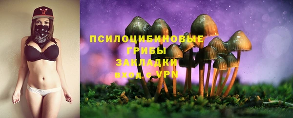 apvp Гусиноозёрск
