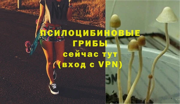 кокаин Гусев