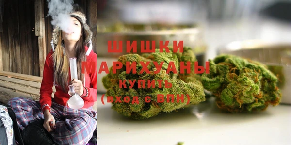 apvp Гусиноозёрск