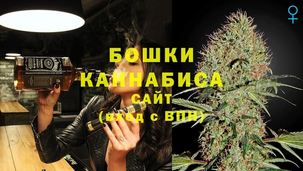 apvp Гусиноозёрск