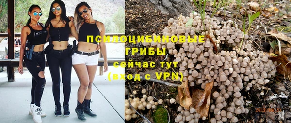 ALPHA-PVP Гусь-Хрустальный